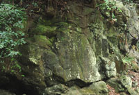宇智川磨崖碑（うちがわまがいひ）