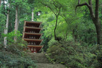 奈良にゆかりの映画「忍ぶ糸」（ならにゆかりのえいが「しのぶいと」）
