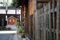 奈良にゆかりの映画「沙羅双樹」（ならにゆかりのえいが「しゃらそうじゅ」