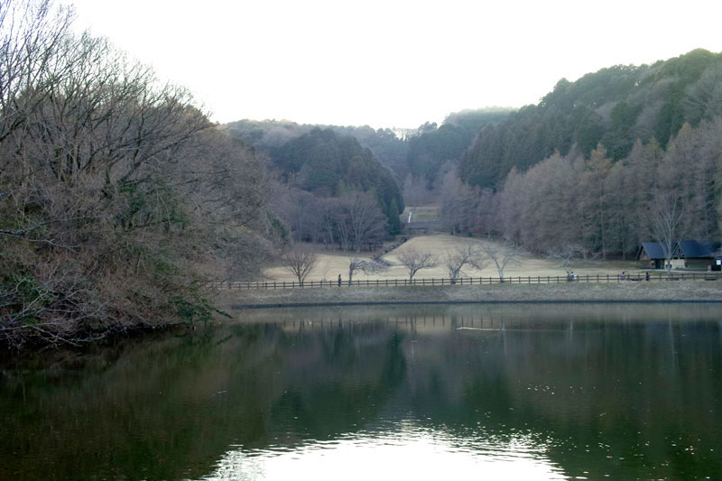 奈良県立矢田自然公園（ならけんりつやたしぜんこうえん）