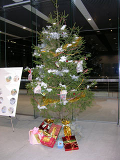 イタリアンタイルのクリスマス展、展示準備風景、ツリー完成