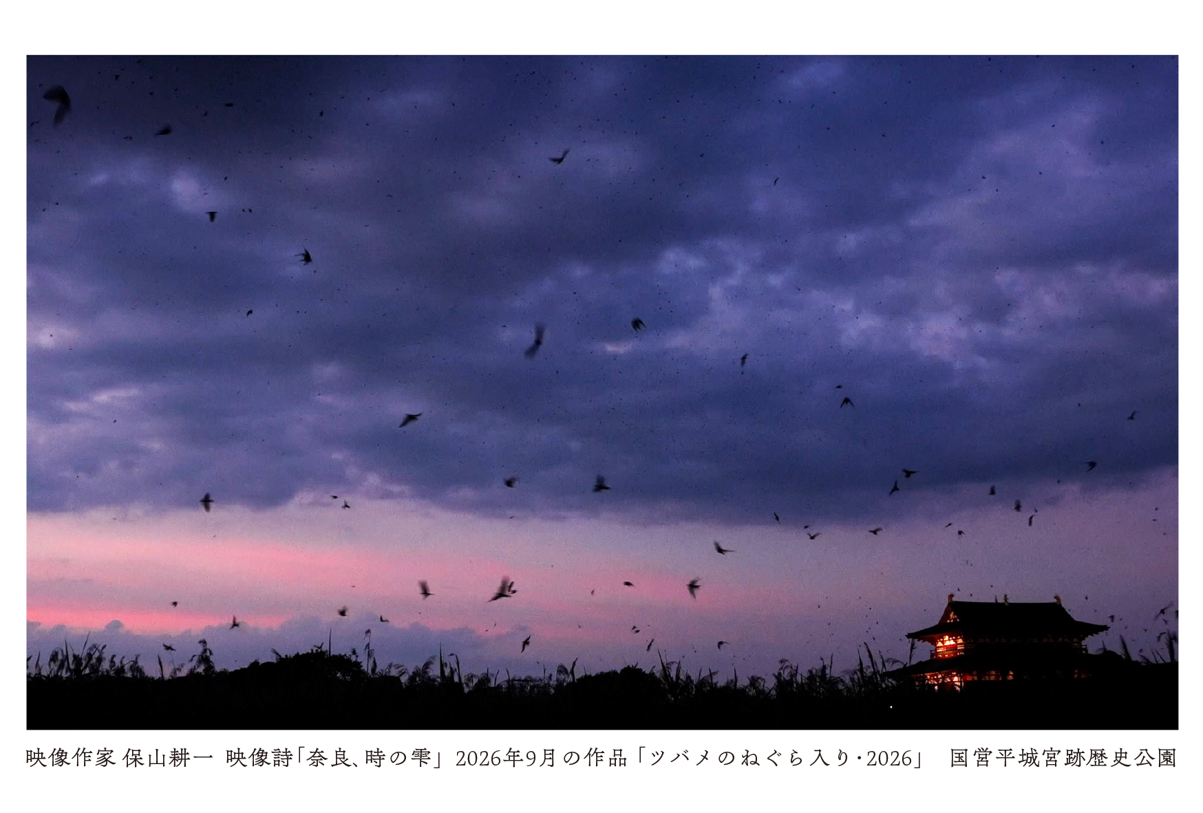 常設上映