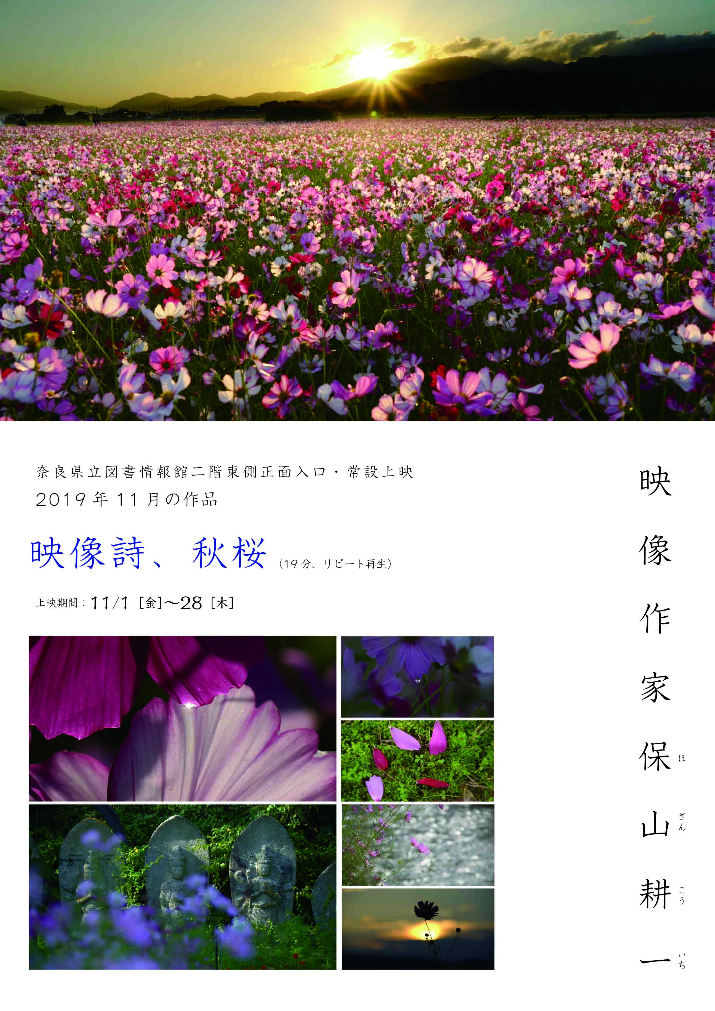 201911常設上映-１.jpg