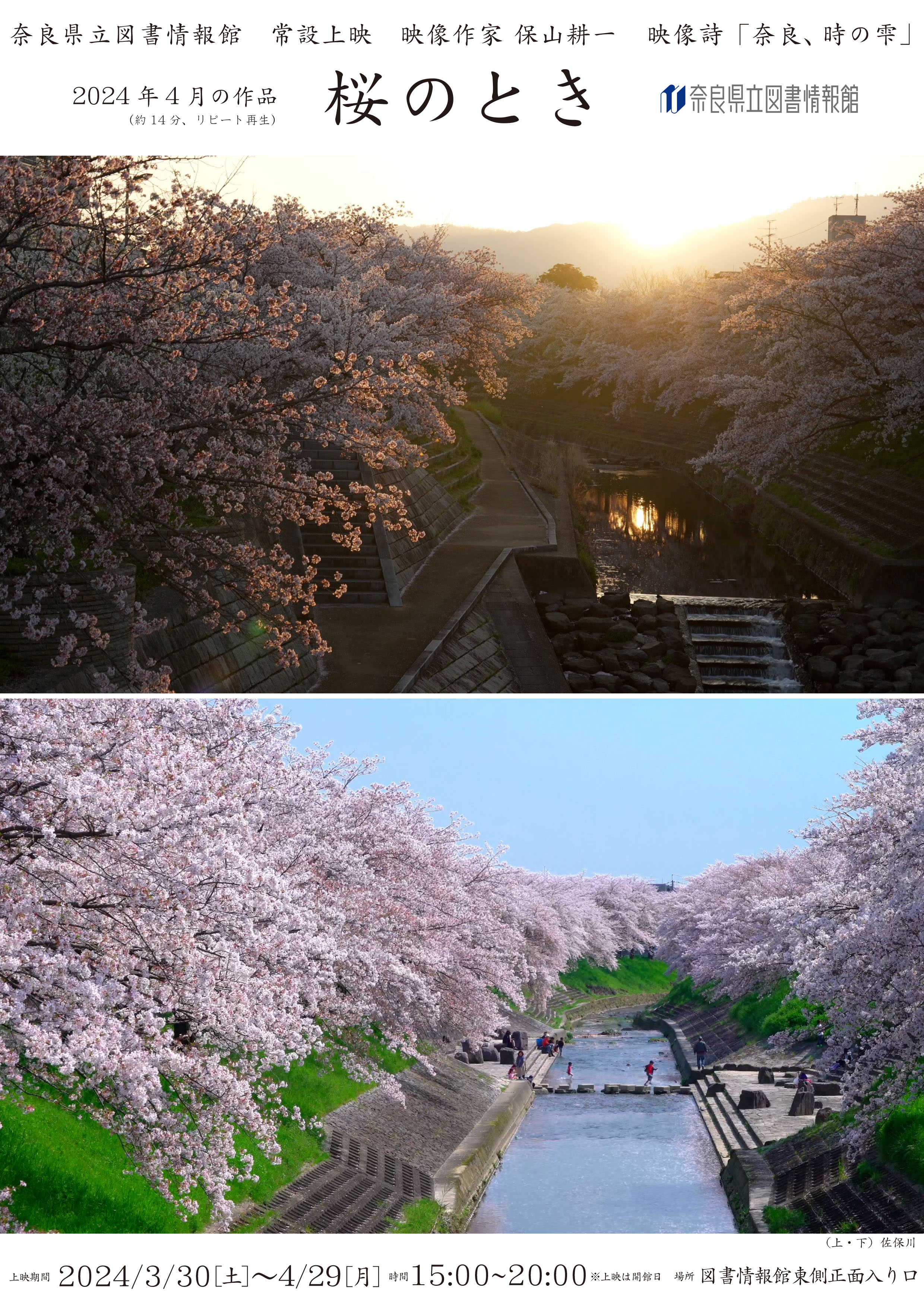 映像作家 保山耕一 常設上映 4月の作品 Vol.65「桜のとき」令和6
