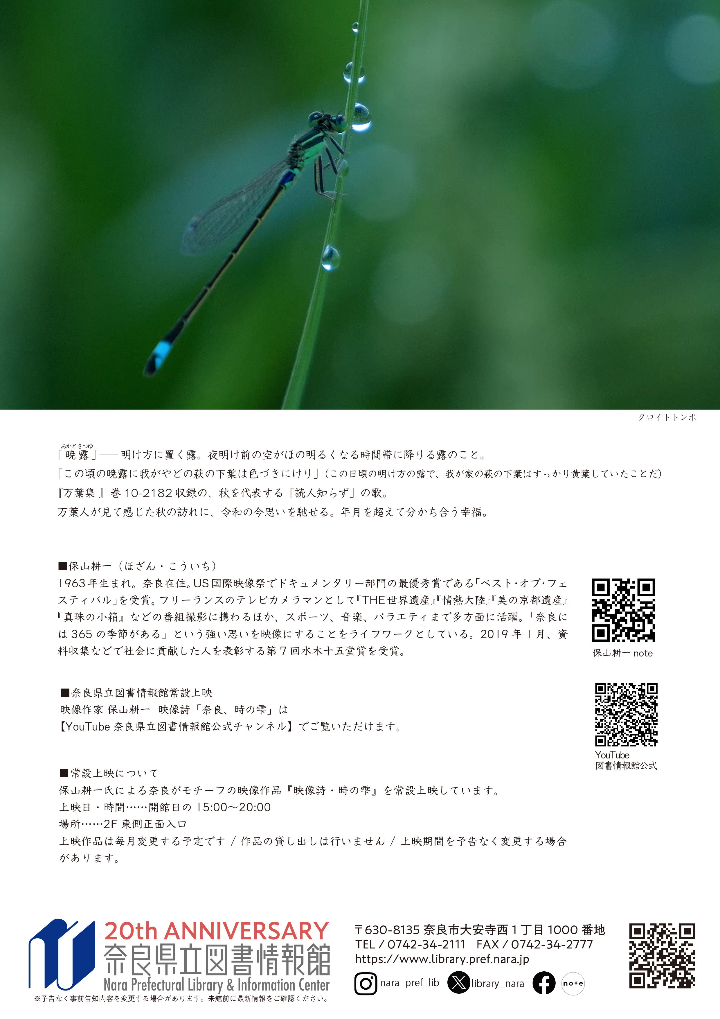 常設上映