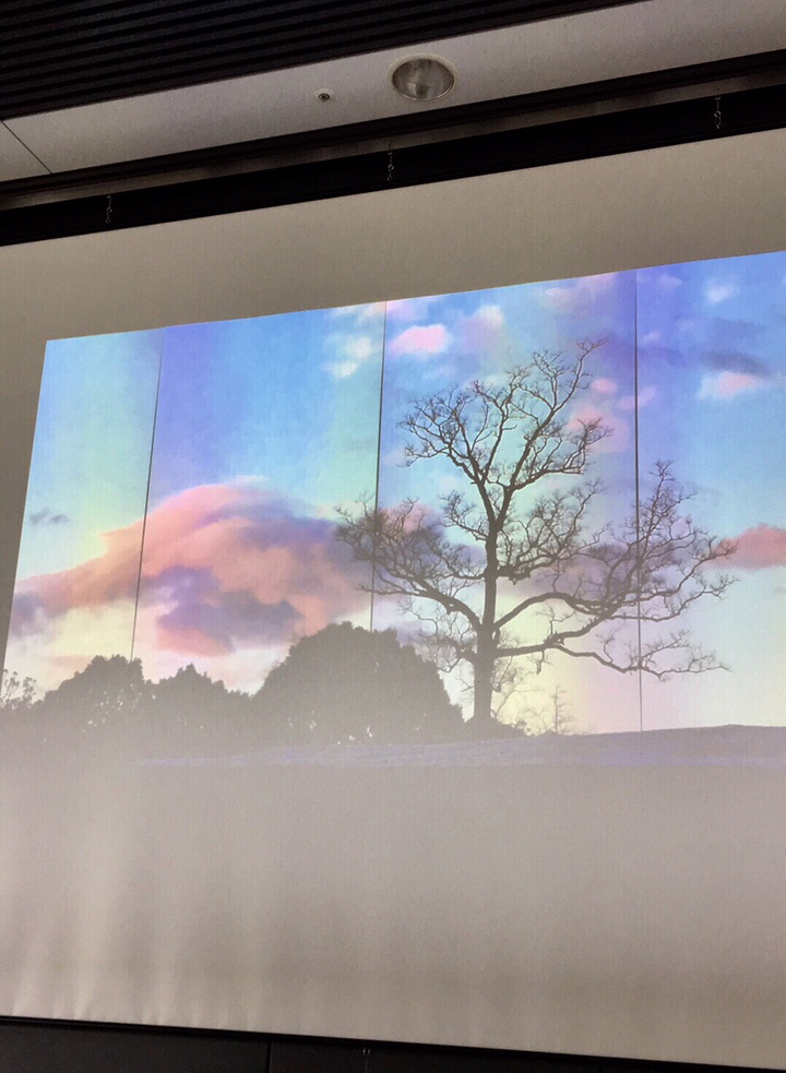 企画展示 映像作家 保山耕一 2018年5月の映像『春日大社』平成30年5月8