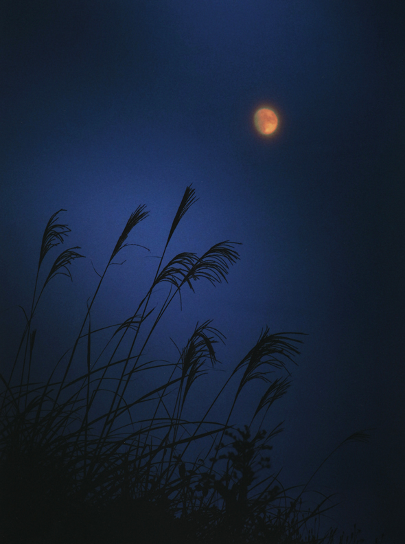 秋艸道人賞受賞作