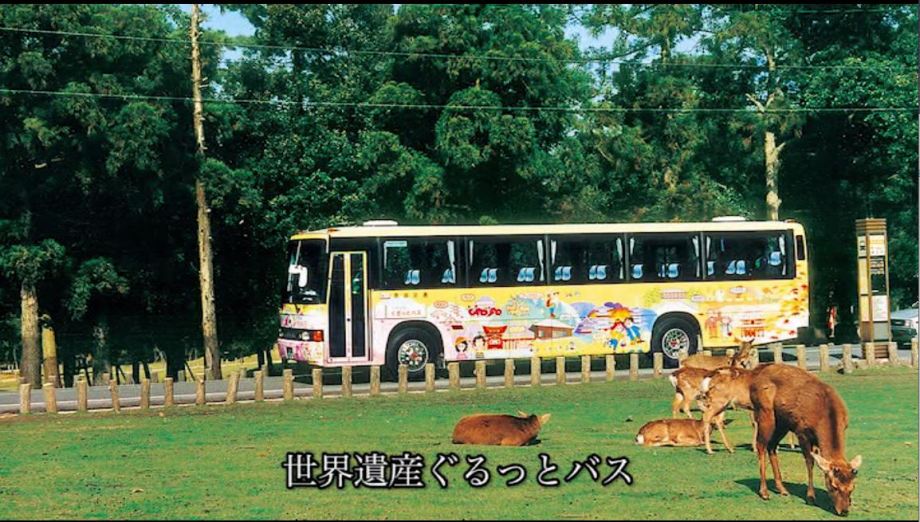 画像のページ 31