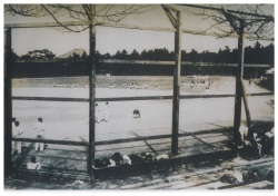 公園
