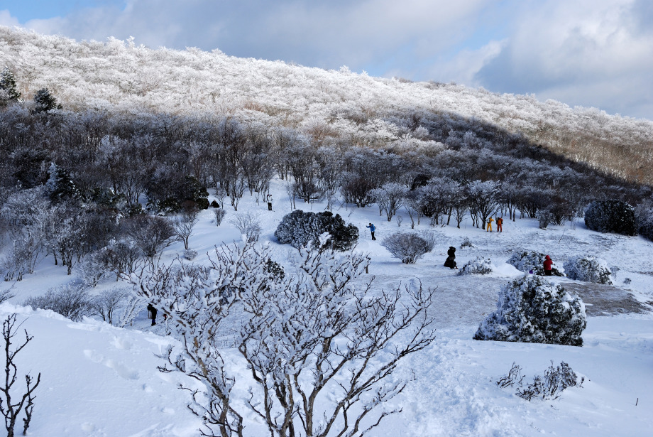 画像のページ 5 画像のページ 5