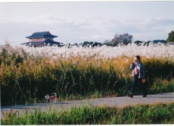 平城宮跡 平城宮跡