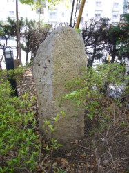 大和街道奈良・守口/清滝街道・暗峠越街道・伊賀街道・上街道