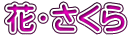 花・さくら 