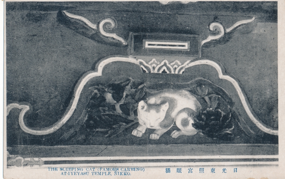 画像のページ 11