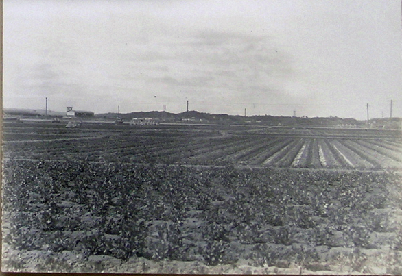 画像のページ 1